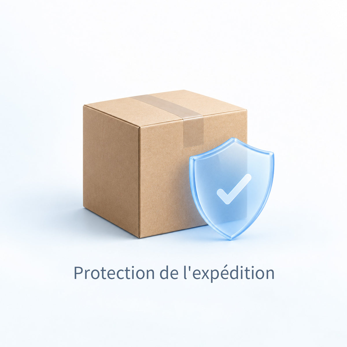 PROTECTION DE LIVRAISON