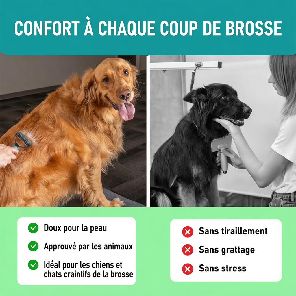 ⏰⏰🔥DERNIER JOUR DE PROMO : 🐕‍🦺Peigne de toilettage double face pour chiens et chats🐾