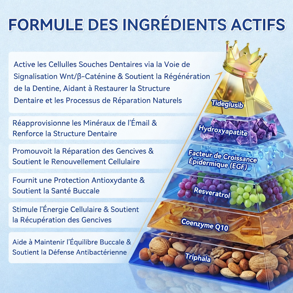 bigoGarageLine®🦷 TIDEGlUSIB TOOTH & GUM NanoRepair : bandelettes blanchissantes à dissolution rapide ✨ (Aide à soutenir la régénération dentaire et à soulager l’inconfort des gencives ainsi que d’autres problèmes bucco-dentaires courants)