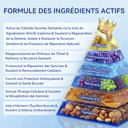 bigoGarageLine®🦷 TIDEGlUSIB TOOTH & GUM NanoRepair : bandelettes blanchissantes à dissolution rapide ✨ (Aide à soutenir la régénération dentaire et à soulager l’inconfort des gencives ainsi que d’autres problèmes bucco-dentaires courants)