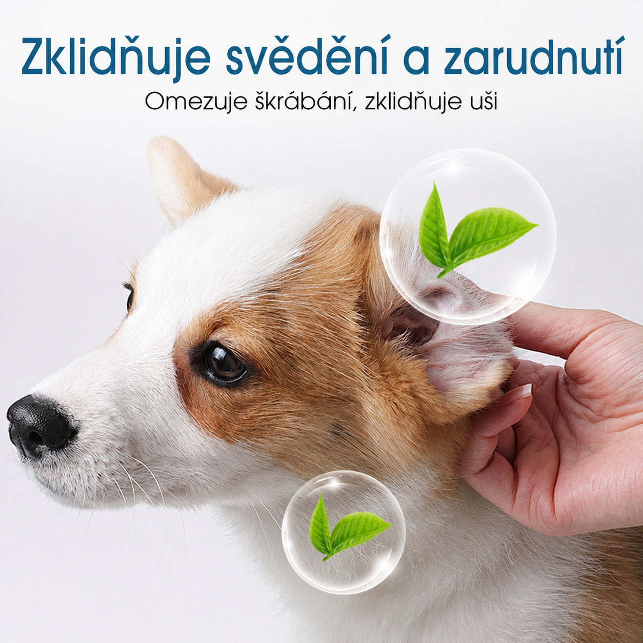 Dnes SLEVA 50 % | CureVivo® Čistič uší pro psy a kočky 👩‍🔬Jemná přírodní péče o uši s rostlinnými extrakty 🌿🎉04