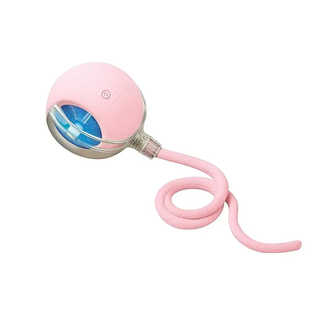 🔥🔥🔥Mizusu Interactive Pet Rolling Ball Toy with 2 Replaceable Tails, Automatic Dog & Cat Teaser Toy