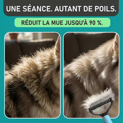 ⏰⏰🔥DERNIER JOUR DE PROMO : 🐕‍🦺Peigne de toilettage double face pour chiens et chats🐾