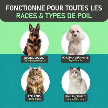 ⏰⏰🔥DERNIER JOUR DE PROMO : 🐕‍🦺Peigne de toilettage double face pour chiens et chats🐾